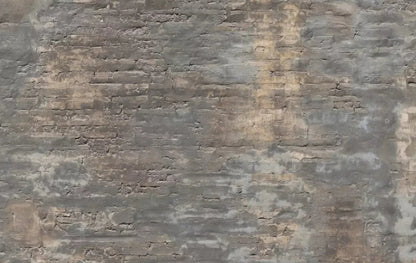 Foreclosed 16X10 Ultracloth ( 192 X 120 Inch ) Backdrop