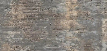 Foreclosed 16X8 Ultracloth ( 192 X 96 Inch ) Backdrop