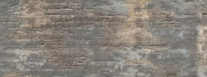 Foreclosed 20X8 Ultracloth ( 240 X 96 Inch ) Backdrop