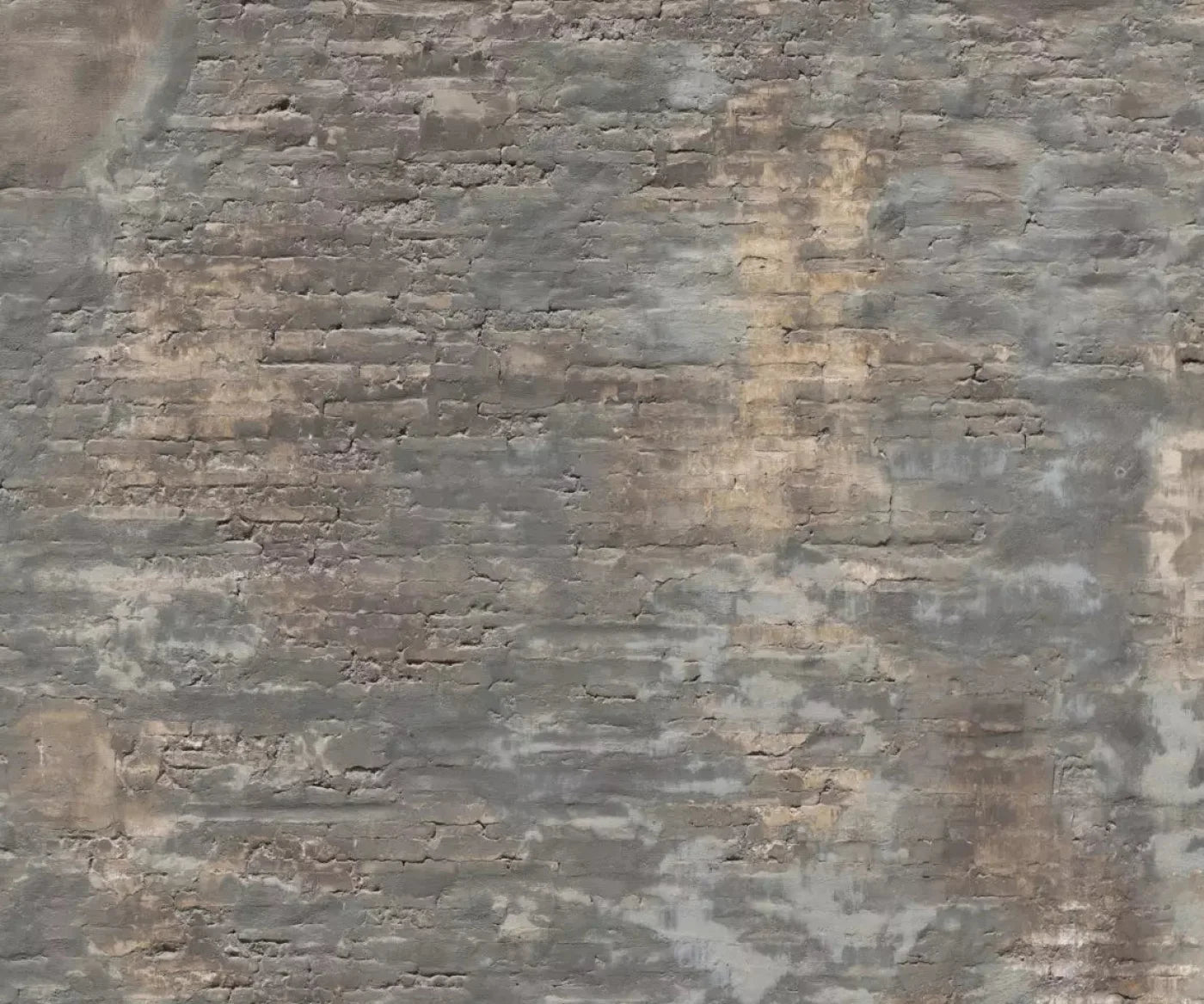 Foreclosed 5X42 Fleece ( 60 X 50 Inch ) Backdrop