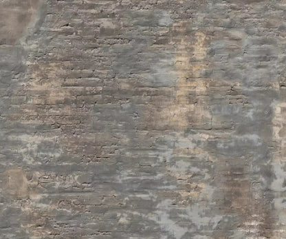 Foreclosed 5X42 Fleece ( 60 X 50 Inch ) Backdrop