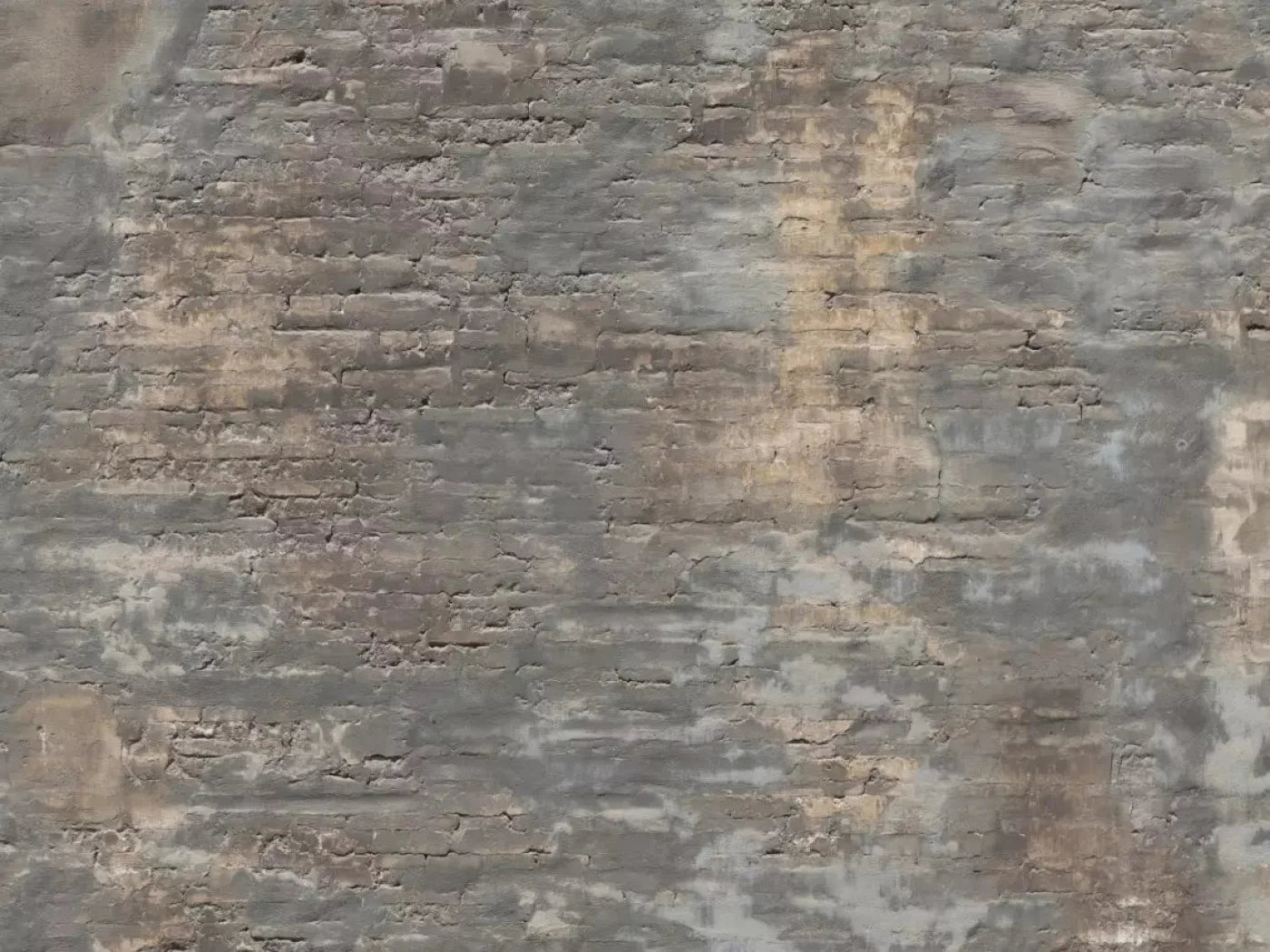 Foreclosed 68X5 Fleece ( 80 X 60 Inch ) Backdrop