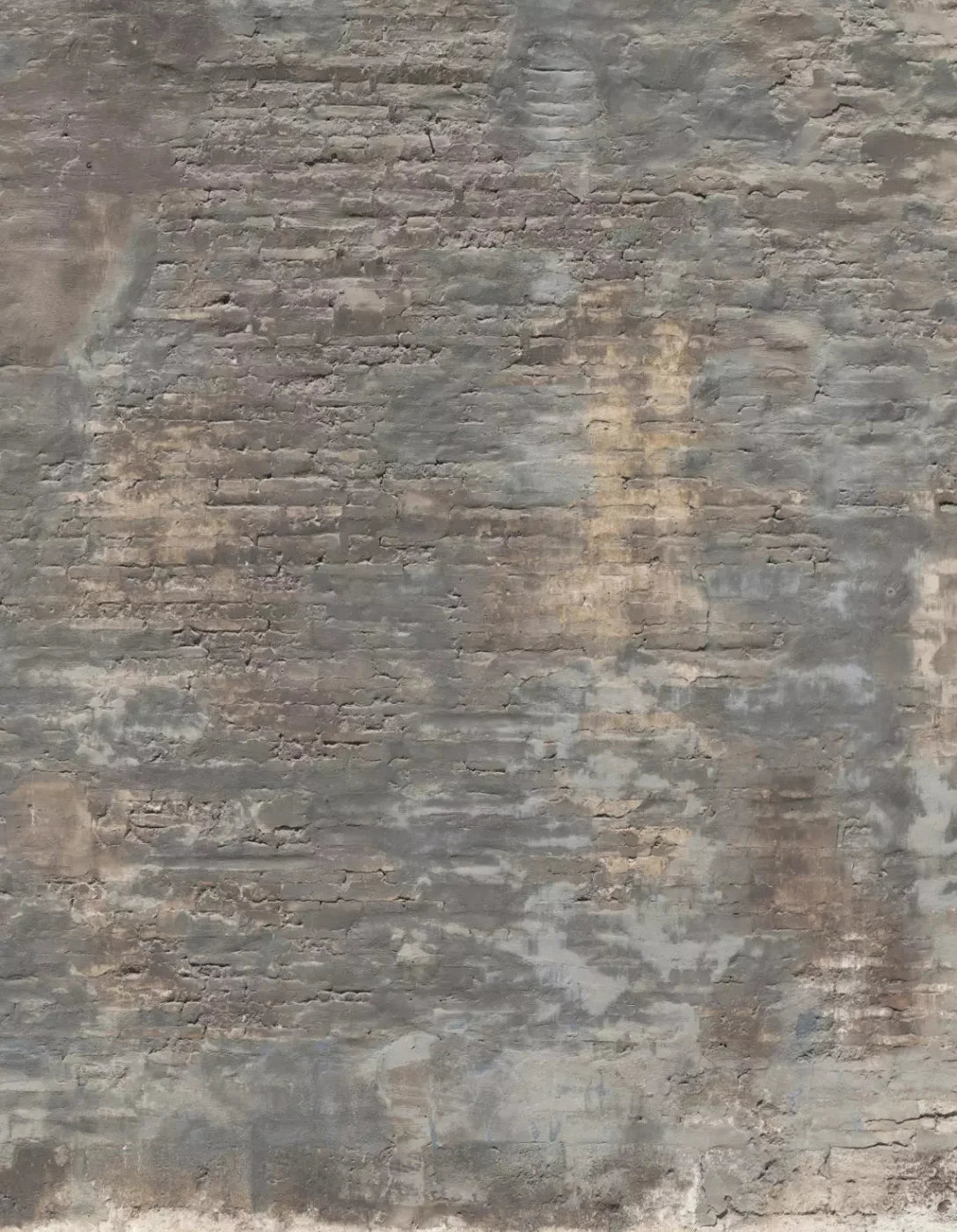 Foreclosed 6X8 Fleece ( 72 X 96 Inch ) Backdrop