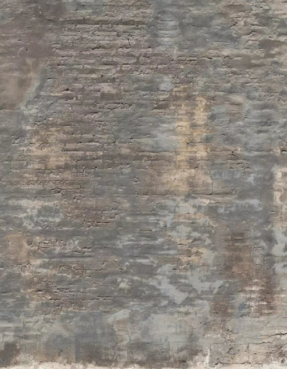 Foreclosed 6X8 Fleece ( 72 X 96 Inch ) Backdrop