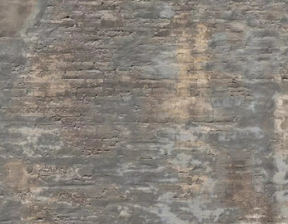 Foreclosed 8X6 Fleece ( 96 X 72 Inch ) Backdrop