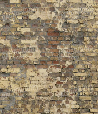 Forfeit 10X12 Ultracloth ( 120 X 144 Inch ) Backdrop