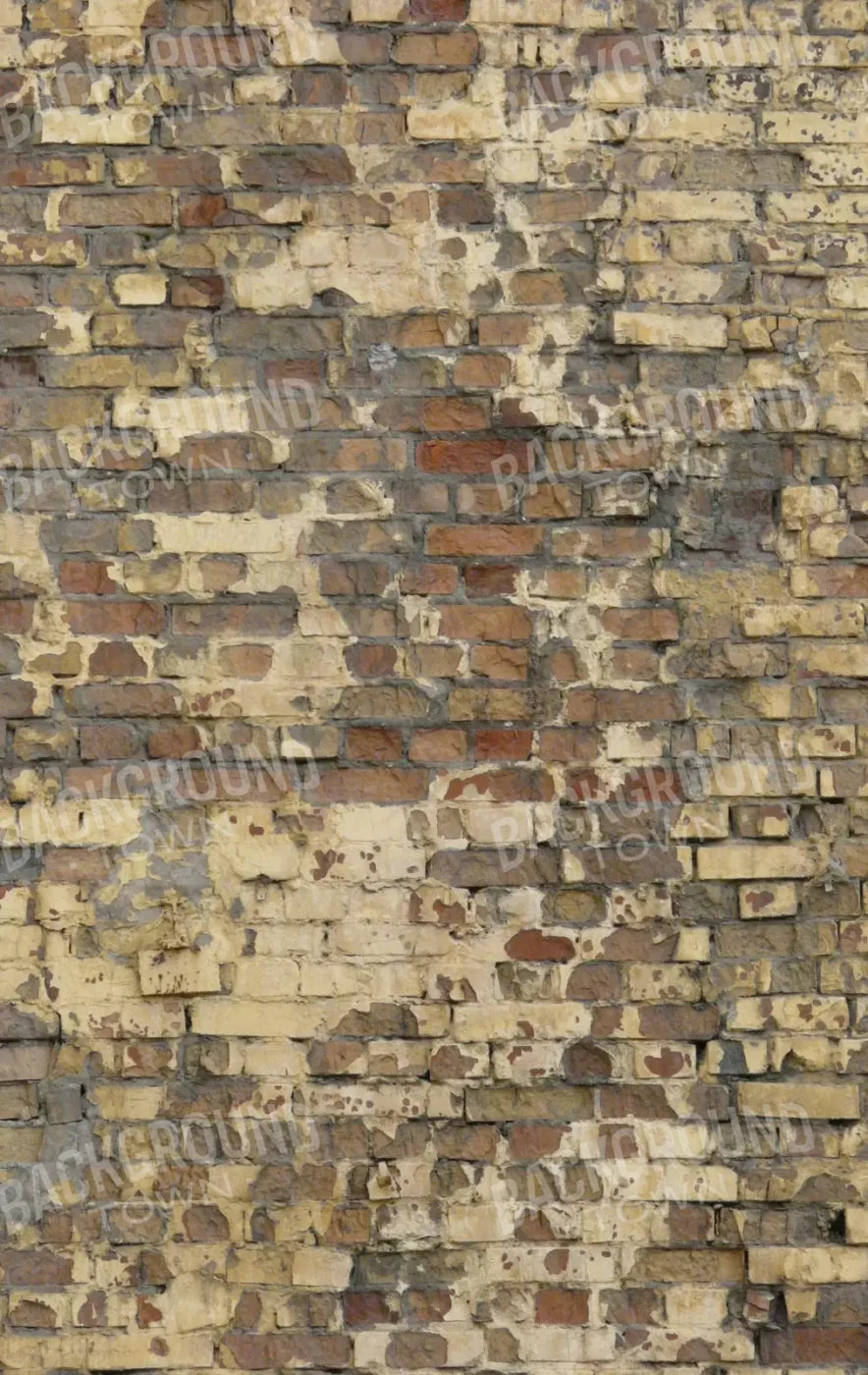 Forfeit 10X16 Ultracloth ( 120 X 192 Inch ) Backdrop