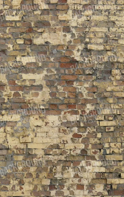 Forfeit 10X16 Ultracloth ( 120 X 192 Inch ) Backdrop