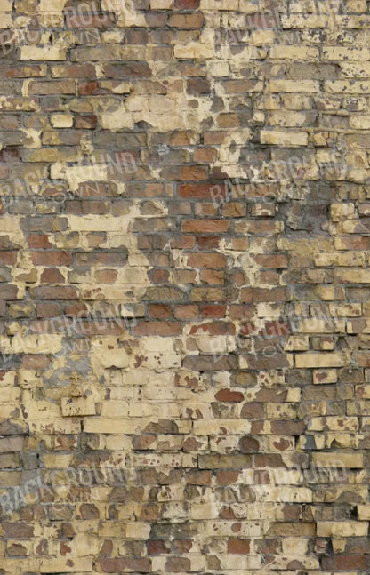 Forfeit 8X12 Ultracloth ( 96 X 144 Inch ) Backdrop