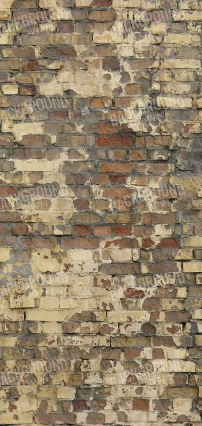 Forfeit 8X16 Ultracloth ( 96 X 192 Inch ) Backdrop