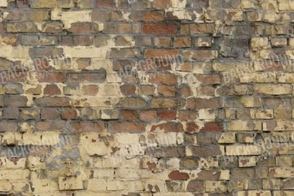 Forfeit 8X5 Ultracloth ( 96 X 60 Inch ) Backdrop