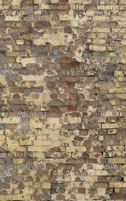 Forfeit 9X14 Ultracloth ( 108 X 168 Inch ) Backdrop