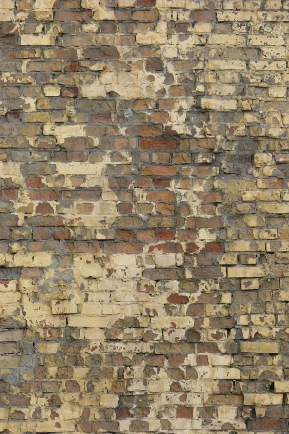 Forfeit Backdrop