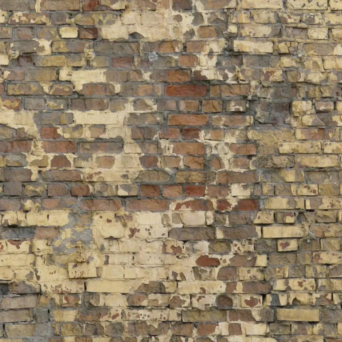 Forfeit Backdrop
