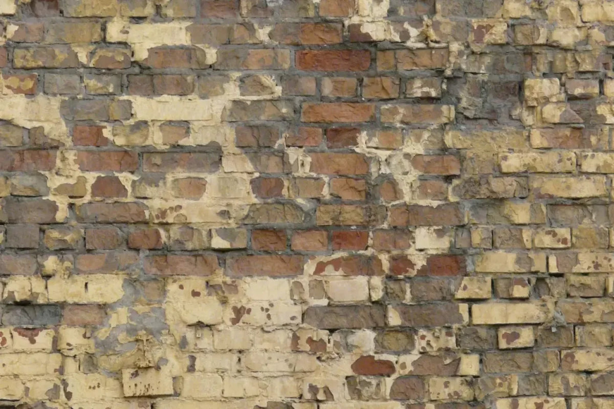 Forfeit Backdrop