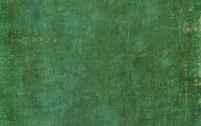Forrester 14X9 Ultracloth ( 168 X 108 Inch ) Backdrop