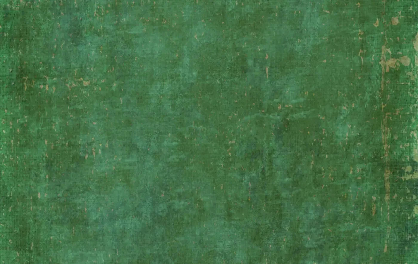 Forrester 16X10 Ultracloth ( 192 X 120 Inch ) Backdrop
