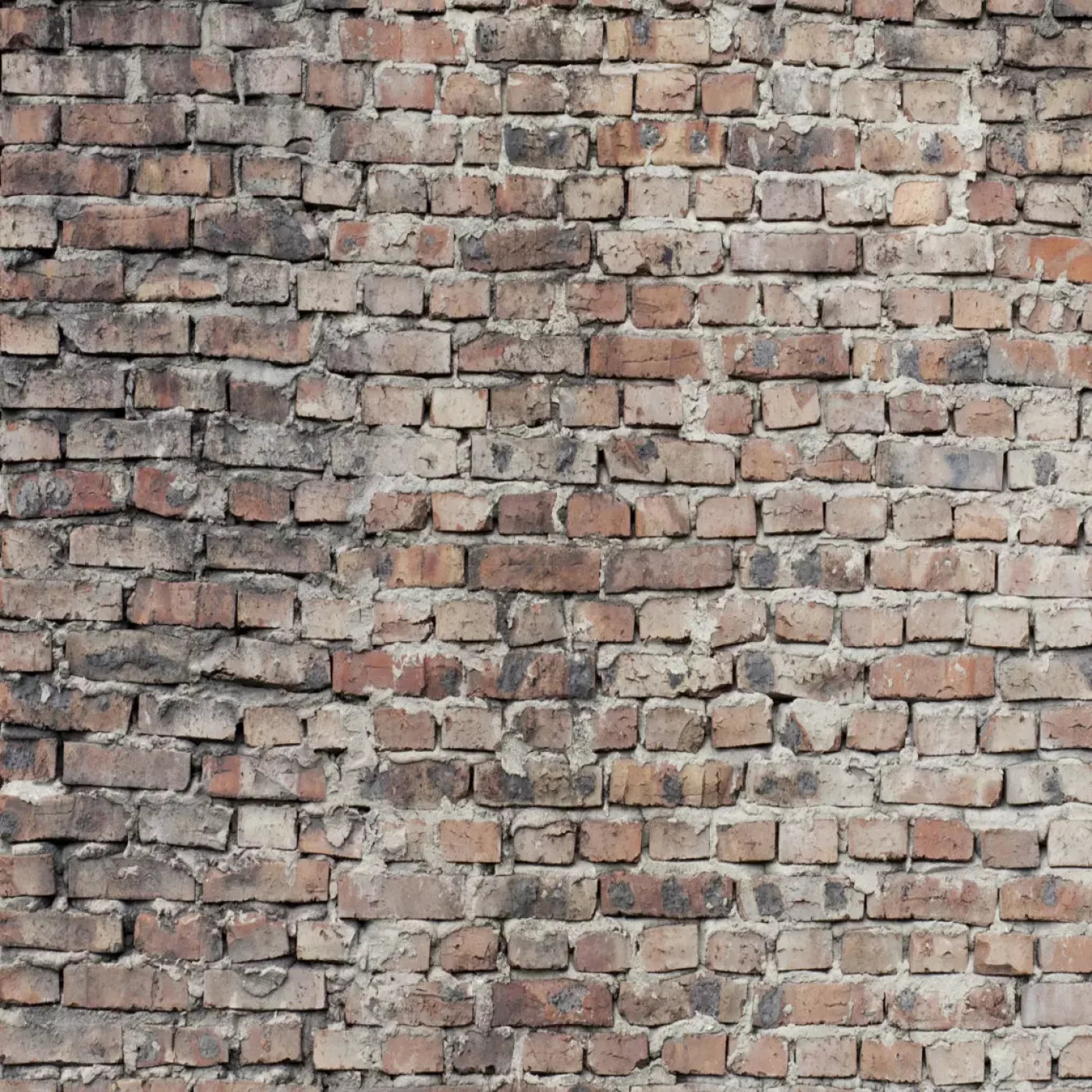 Fortress 10X10 Ultracloth ( 120 X Inch ) Backdrop