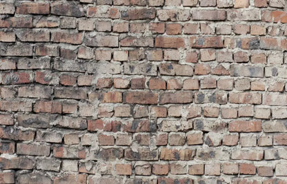 Fortress 12X8 Ultracloth ( 144 X 96 Inch ) Backdrop