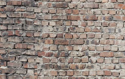 Fortress 16X10 Ultracloth ( 192 X 120 Inch ) Backdrop