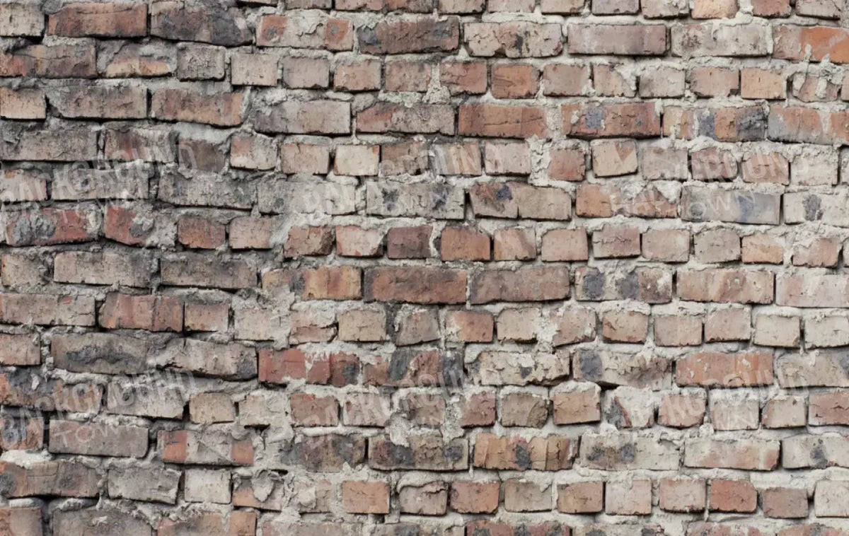 Fortress 16X10 Ultracloth ( 192 X 120 Inch ) Backdrop