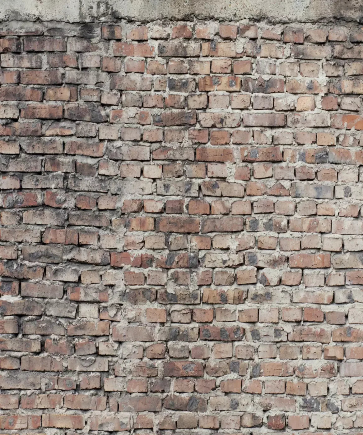 Beige Brick and Stone Backdrop for Photography