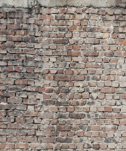 Beige Brick and Stone Backdrop for Photography