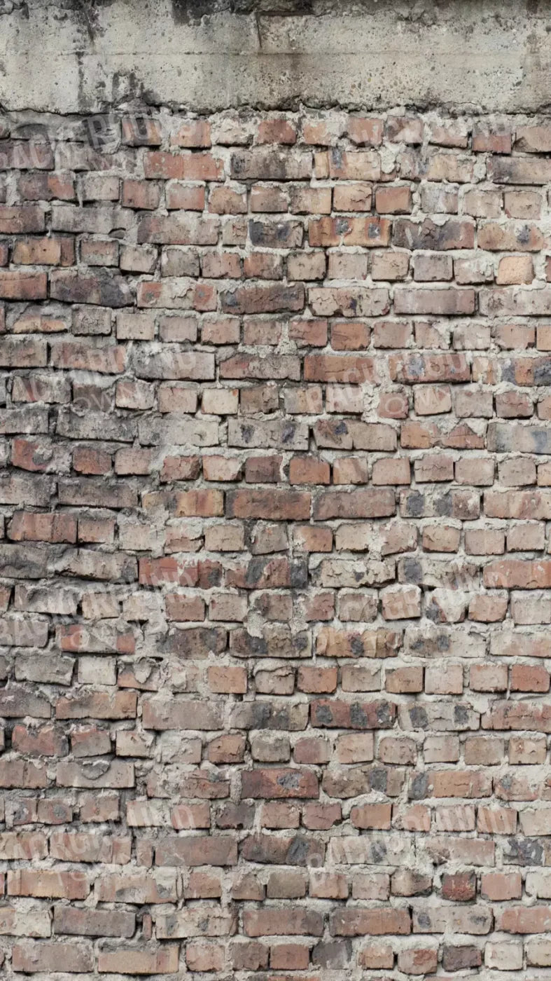 Fortress 8X14 Ultracloth ( 96 X 168 Inch ) Backdrop