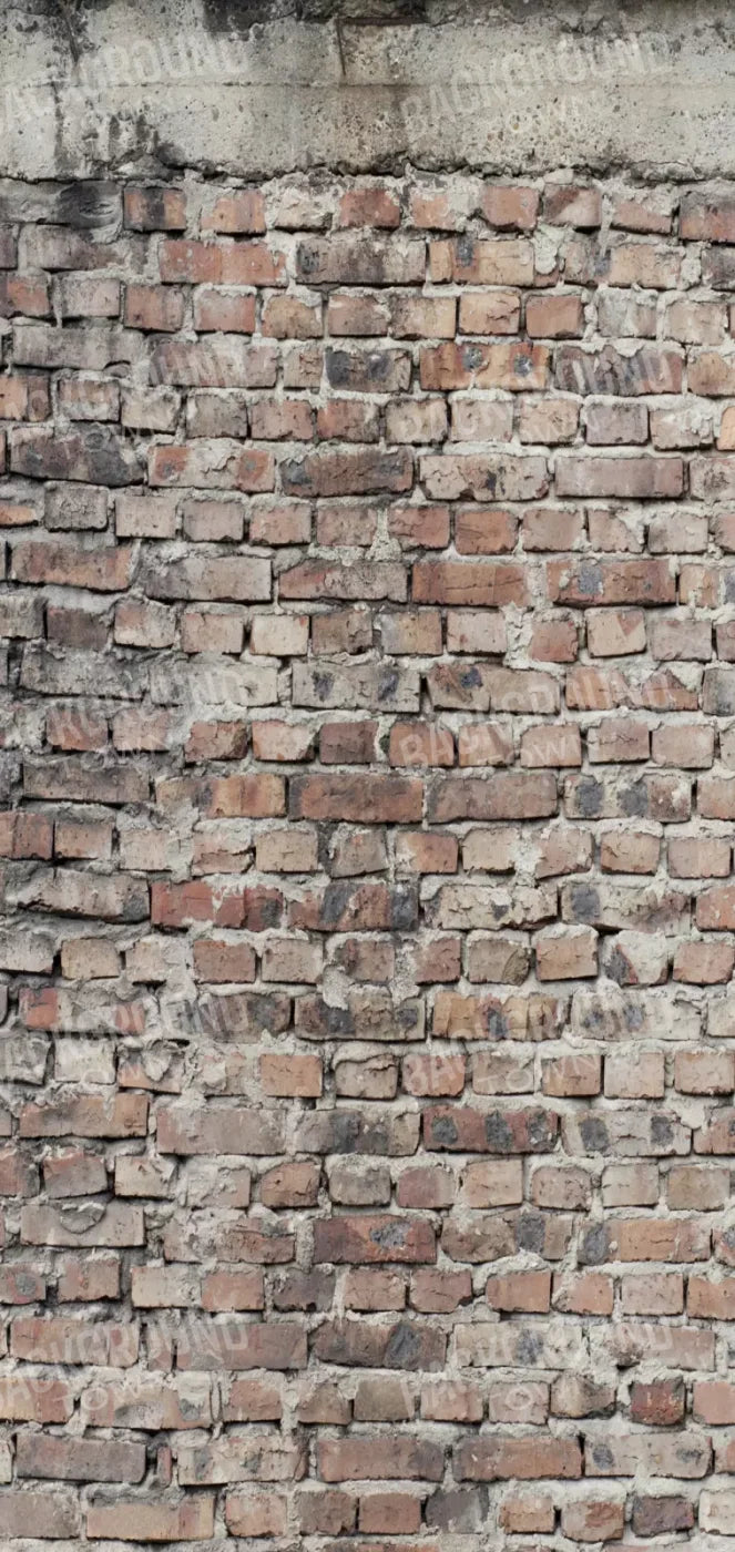 Fortress 8X16 Ultracloth ( 96 X 192 Inch ) Backdrop