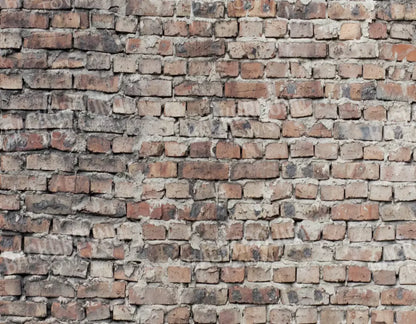 Fortress 8X6 Fleece ( 96 X 72 Inch ) Backdrop