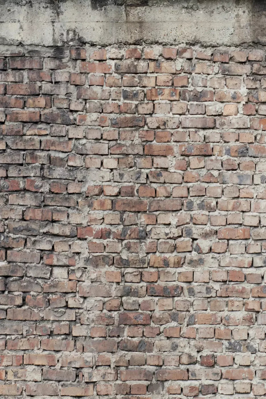 Fortress Backdrop