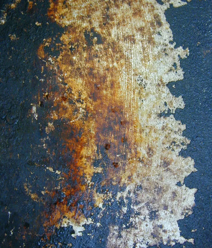 Fossil 10X12 Ultracloth ( 120 X 144 Inch ) Backdrop