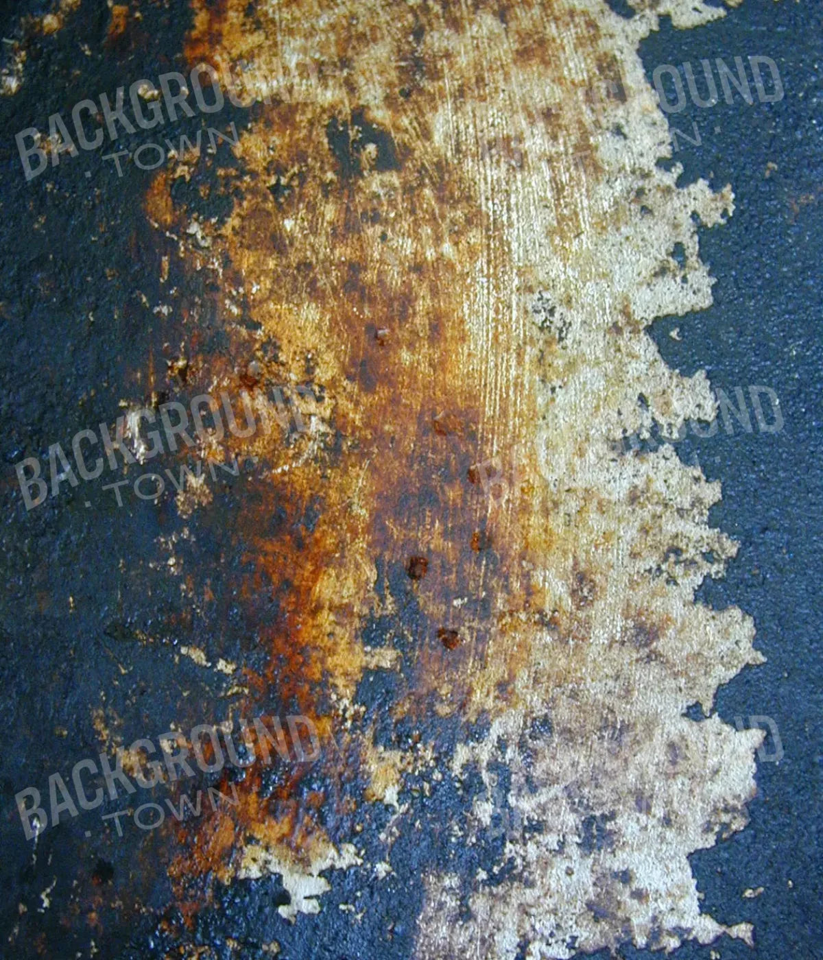 Fossil 10X12 Ultracloth ( 120 X 144 Inch ) Backdrop