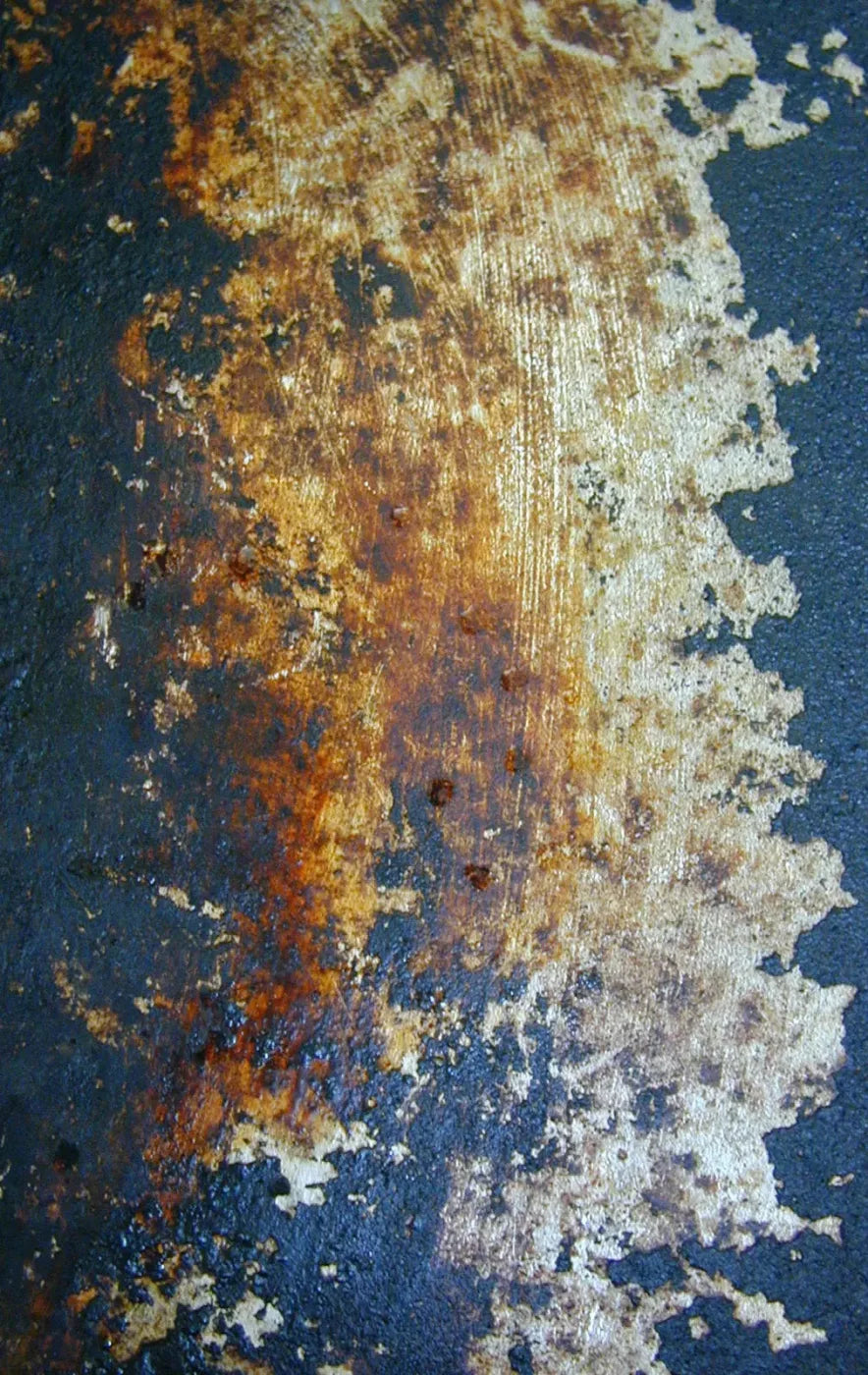 Fossil 10X16 Ultracloth ( 120 X 192 Inch ) Backdrop