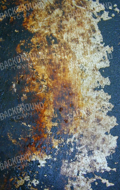 Fossil 10X16 Ultracloth ( 120 X 192 Inch ) Backdrop