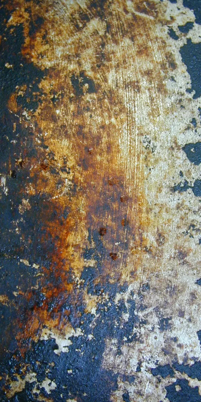 Fossil 10X20 Ultracloth ( 120 X 240 Inch ) Backdrop