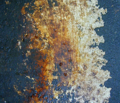 Fossil 12X10 Ultracloth ( 144 X 120 Inch ) Backdrop