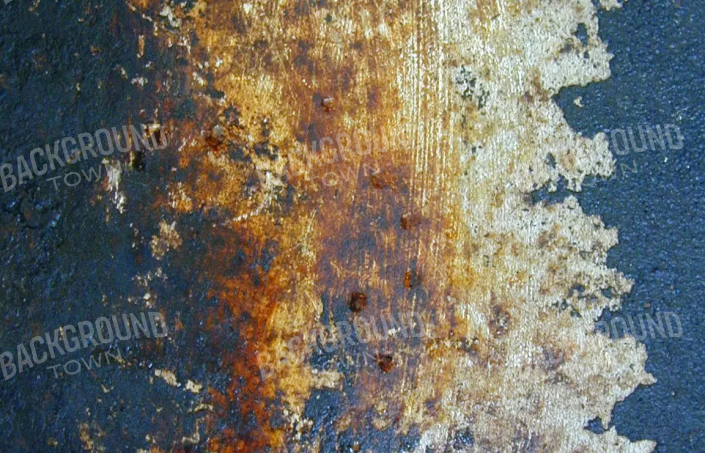 Fossil 12X8 Ultracloth ( 144 X 96 Inch ) Backdrop