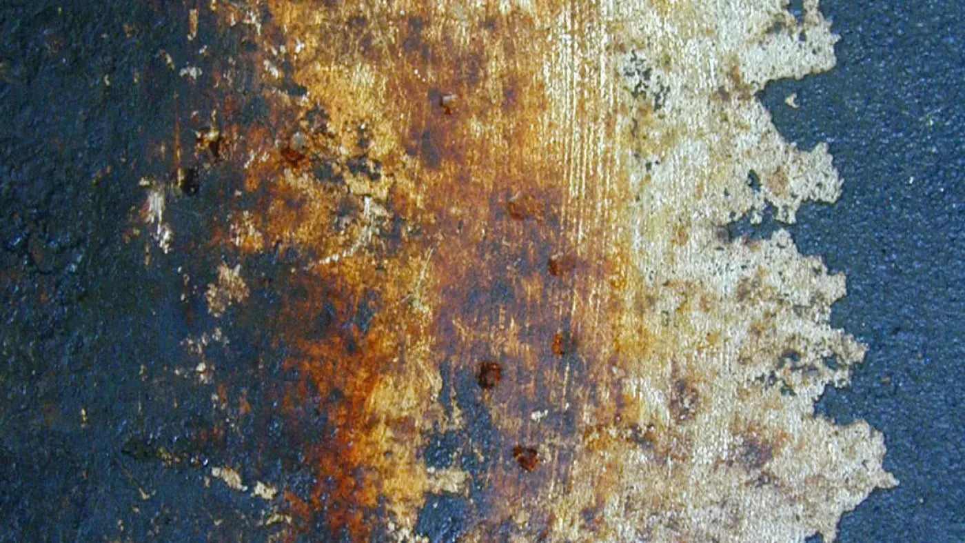 Fossil 14X8 Ultracloth ( 168 X 96 Inch ) Backdrop