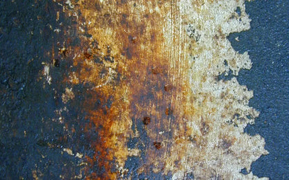 Fossil 14X9 Ultracloth ( 168 X 108 Inch ) Backdrop