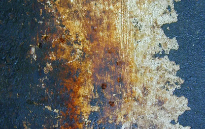 Fossil 16X10 Ultracloth ( 192 X 120 Inch ) Backdrop