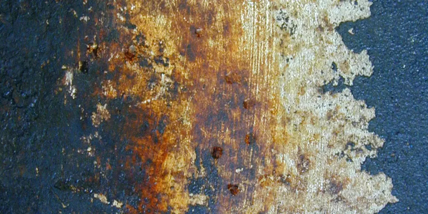 Fossil 20X10 Ultracloth ( 240 X 120 Inch ) Backdrop