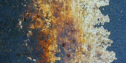 Fossil 20X10 Ultracloth ( 240 X 120 Inch ) Backdrop
