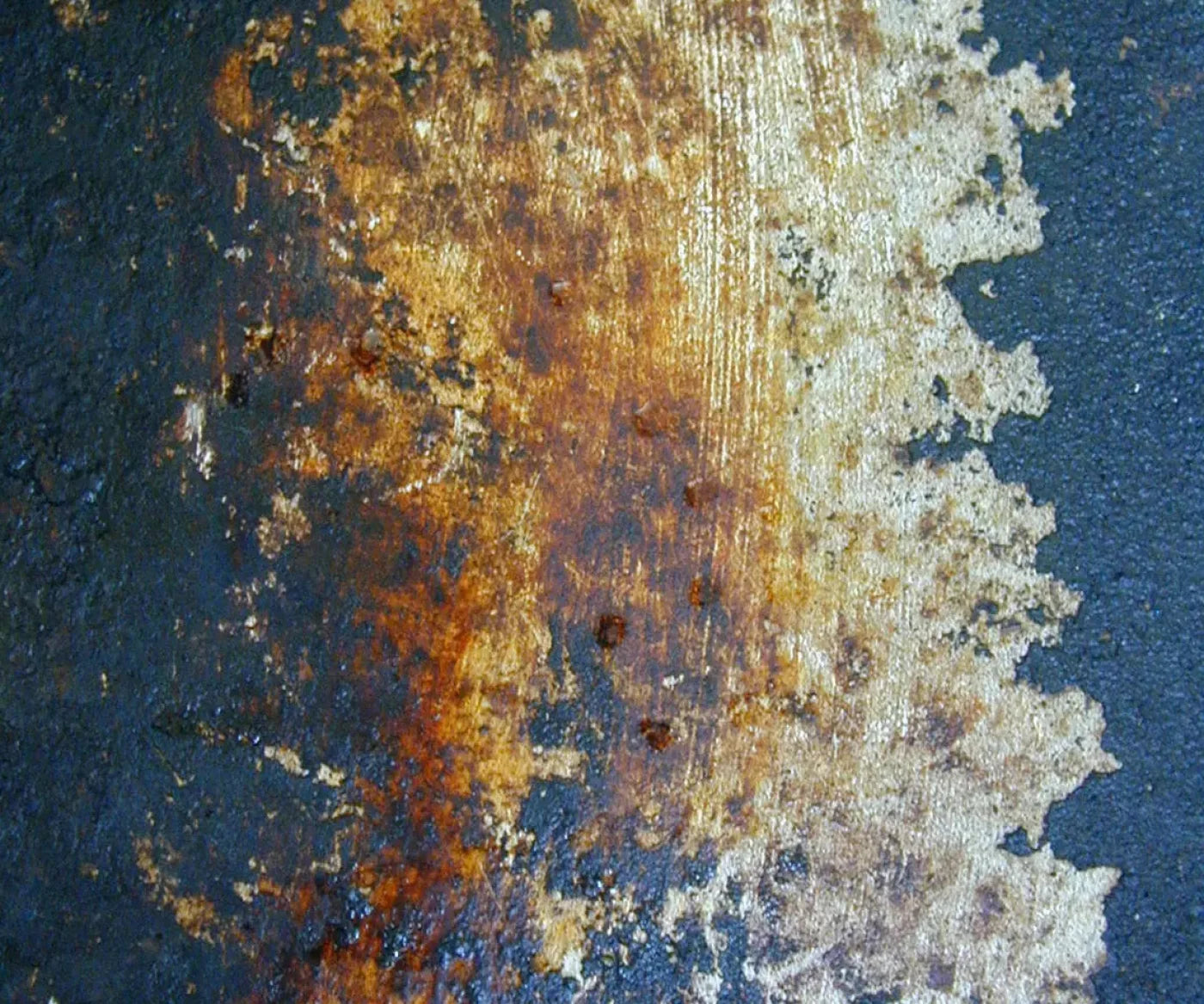 Fossil 5X42 Fleece ( 60 X 50 Inch ) Backdrop