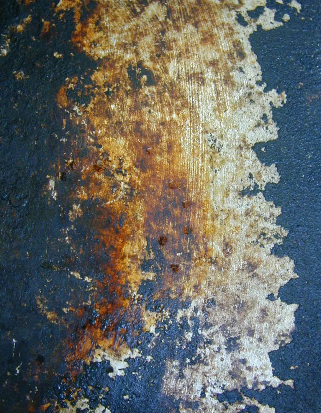 Fossil 6X8 Fleece ( 72 X 96 Inch ) Backdrop