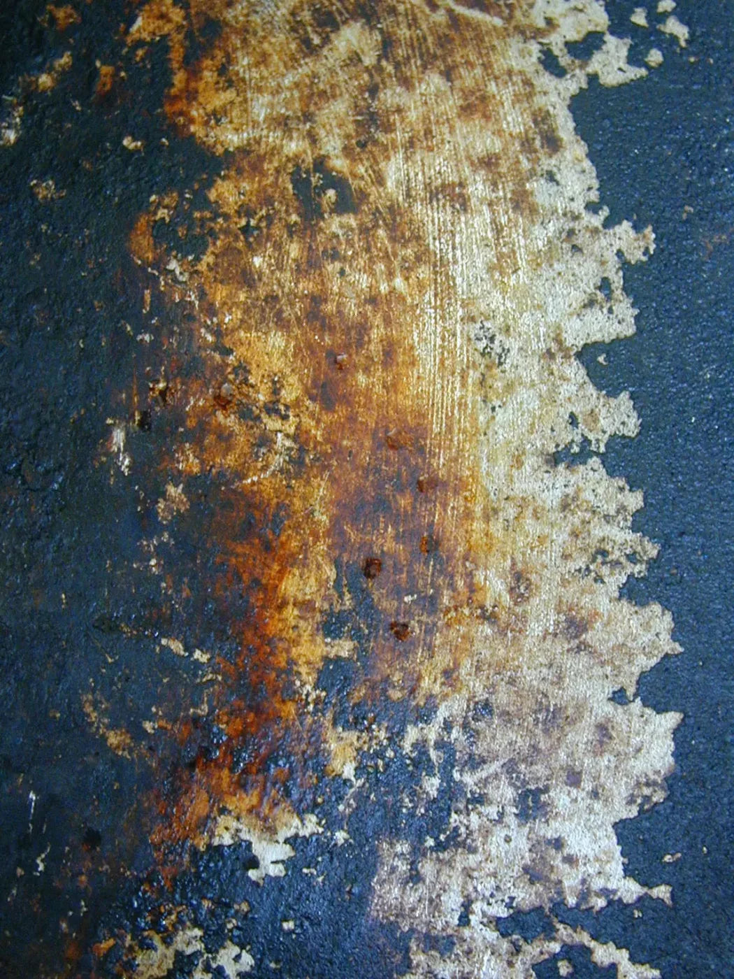 Fossil 8X10 Fleece ( 96 X 120 Inch ) Backdrop