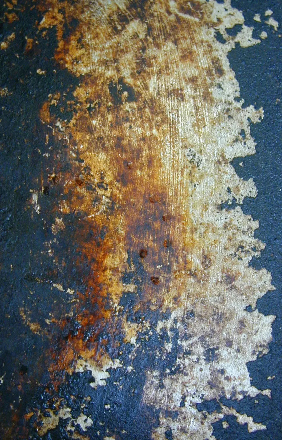 Fossil 8X12 Ultracloth ( 96 X 144 Inch ) Backdrop