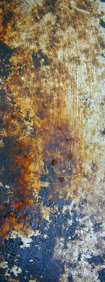 Fossil 8X20 Ultracloth ( 96 X 240 Inch ) Backdrop