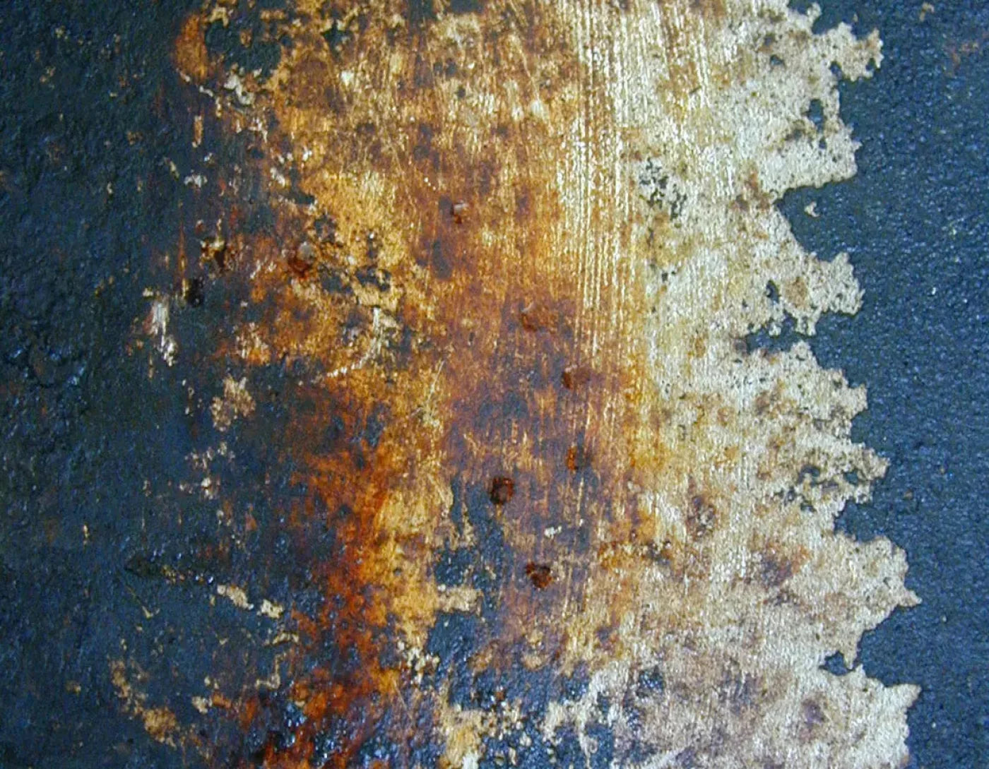 Fossil 8X6 Fleece ( 96 X 72 Inch ) Backdrop