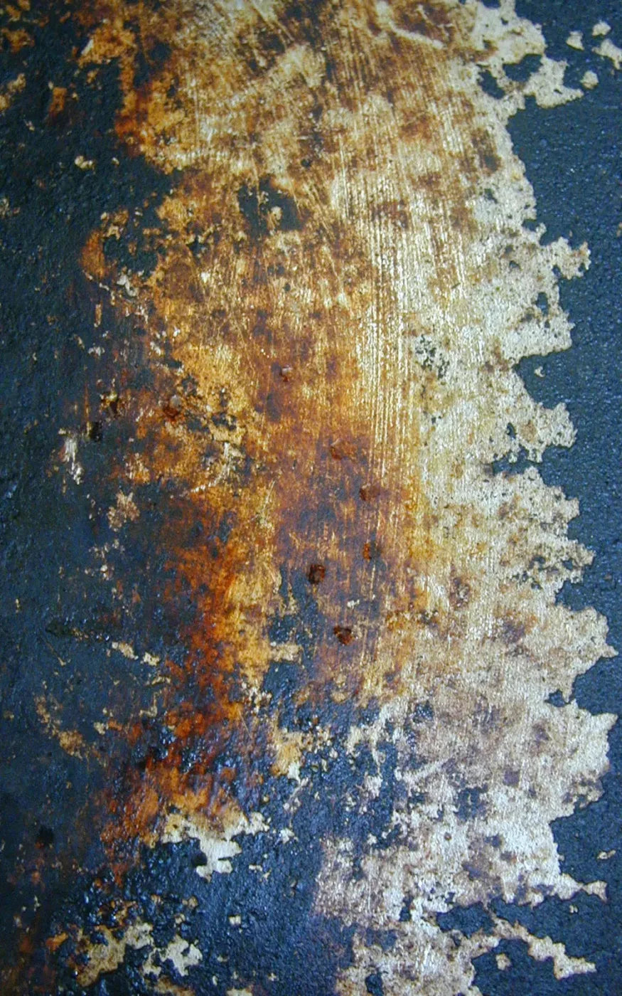 Fossil 9X14 Ultracloth ( 108 X 168 Inch ) Backdrop
